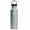 Hydro Flask Bottle Standard Mouth - Isolierflasche/Thermoflasche agave 627 ml / 21 oz