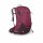 Osprey Sirrus 34  - Wanderrucksack mit Netzrcken Damen 34 Liter