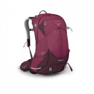 Osprey Sirrus 34  - Wanderrucksack mit Netzrcken Damen 34 Liter